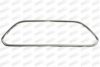 PRASCO FD4262305 Trim/Protective Strip, bumper